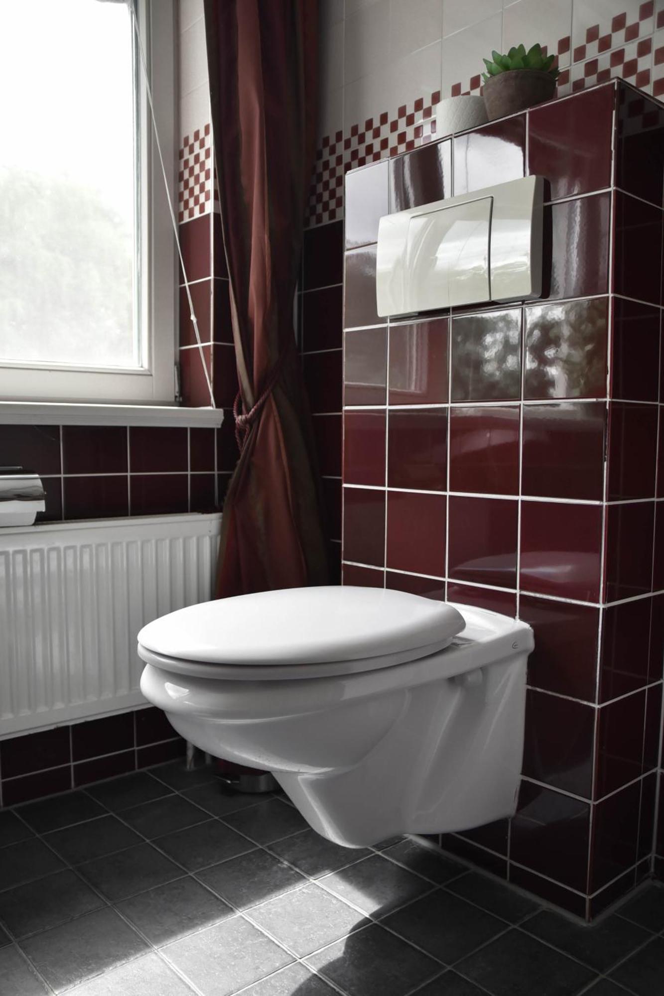 The Cosy Cottage For Comfort With Sauna And Hottub ゼーウォルデ エクステリア 写真